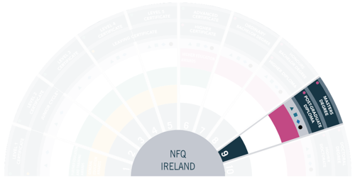 Snippet of NFQ Level 9 segment from NFQ Fan